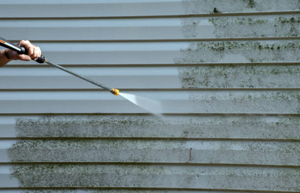 Best Patio and Deck Pressure Washing  in Terrytown, LA